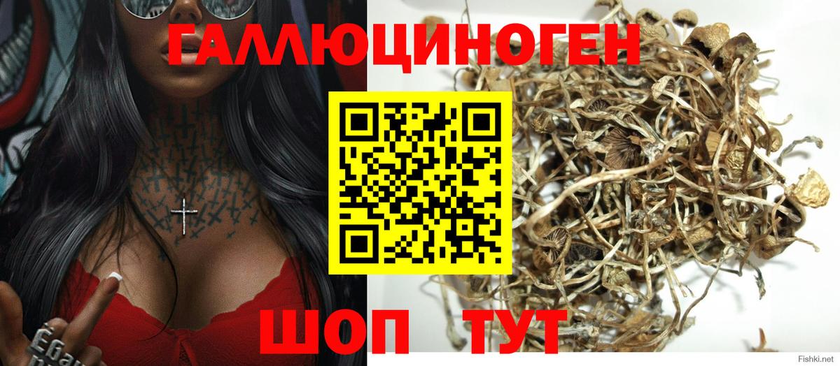 Мичуринск  Псилоцибиновые грибы ЛСД  Вход с VPN 