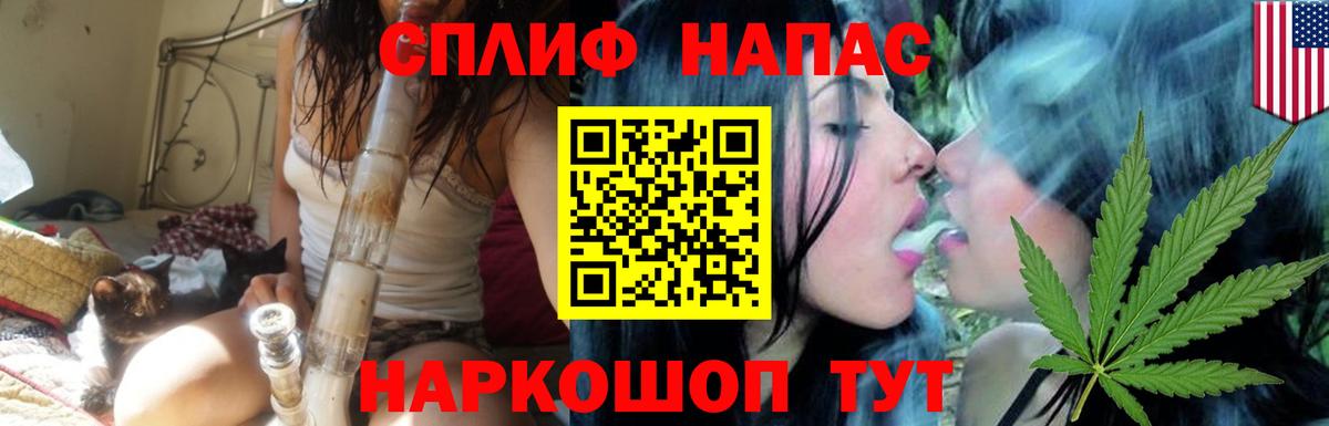Конопля MAZAR Мичуринск